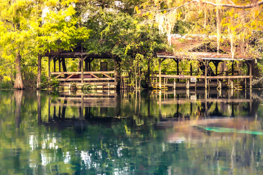 Ocala - Last Impressionism