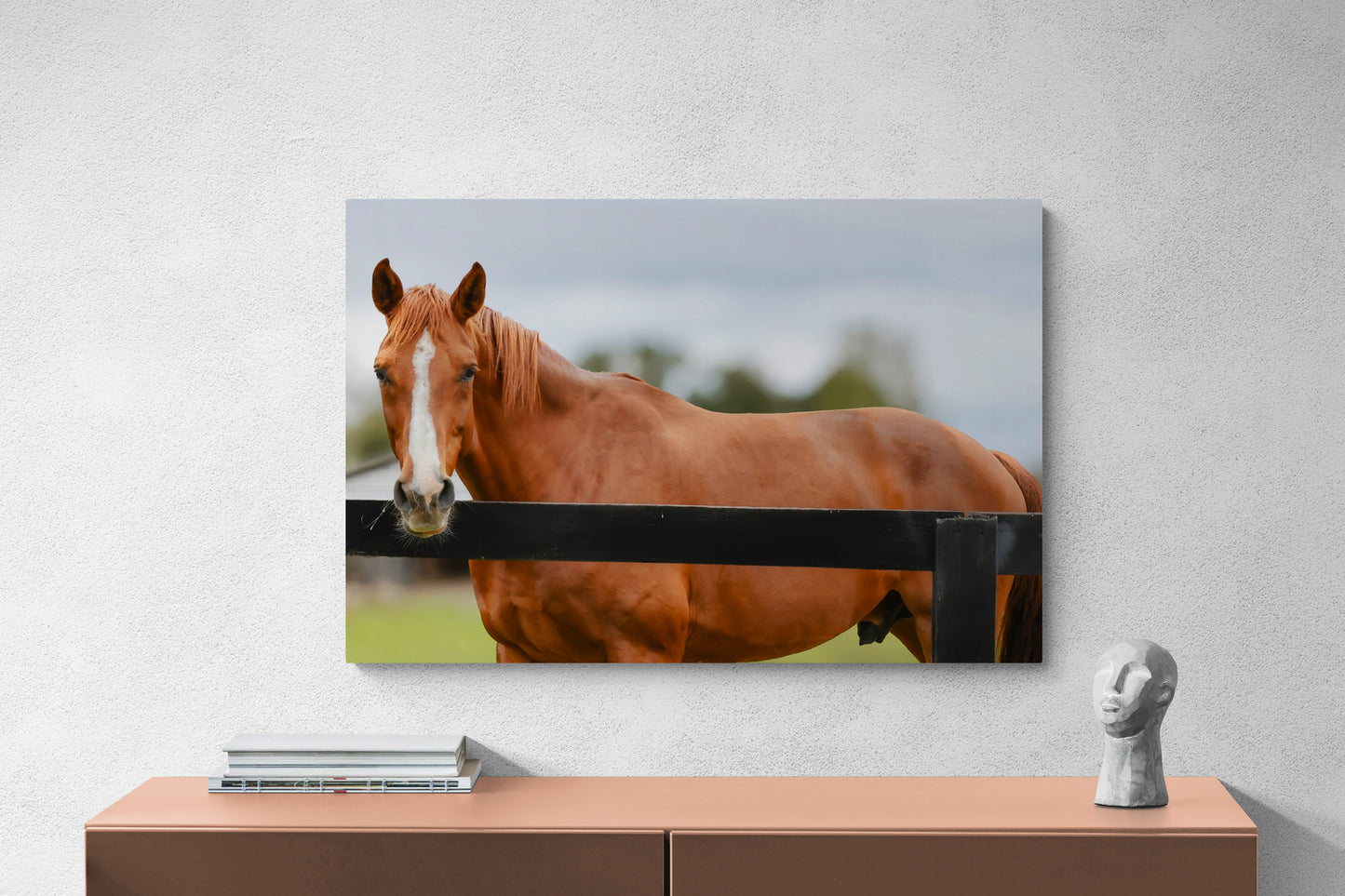 Ocala - The Stallion