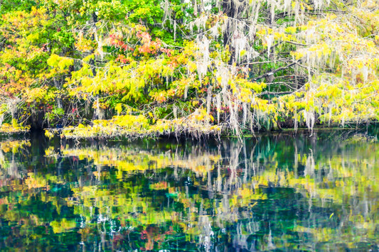 Ocala 2nd Impressionism