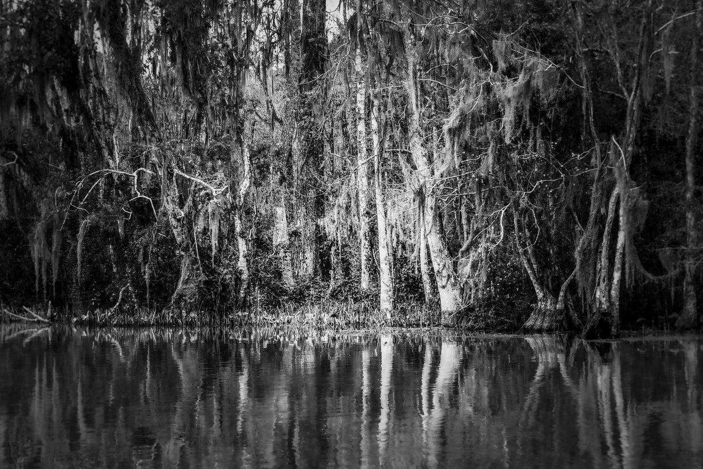 In the Time Before Color