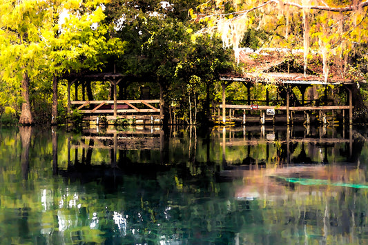 Ocala Last Impressionism