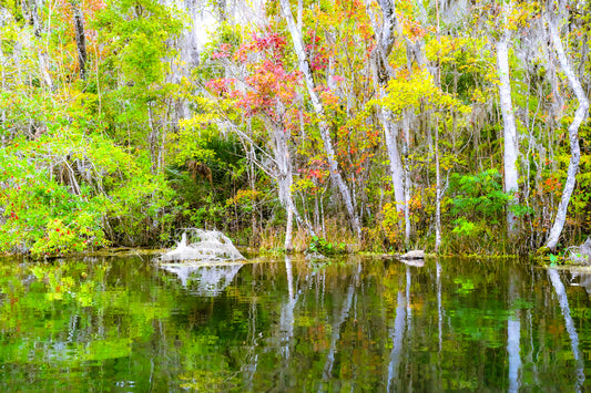 Ocala 3rd Impressionism