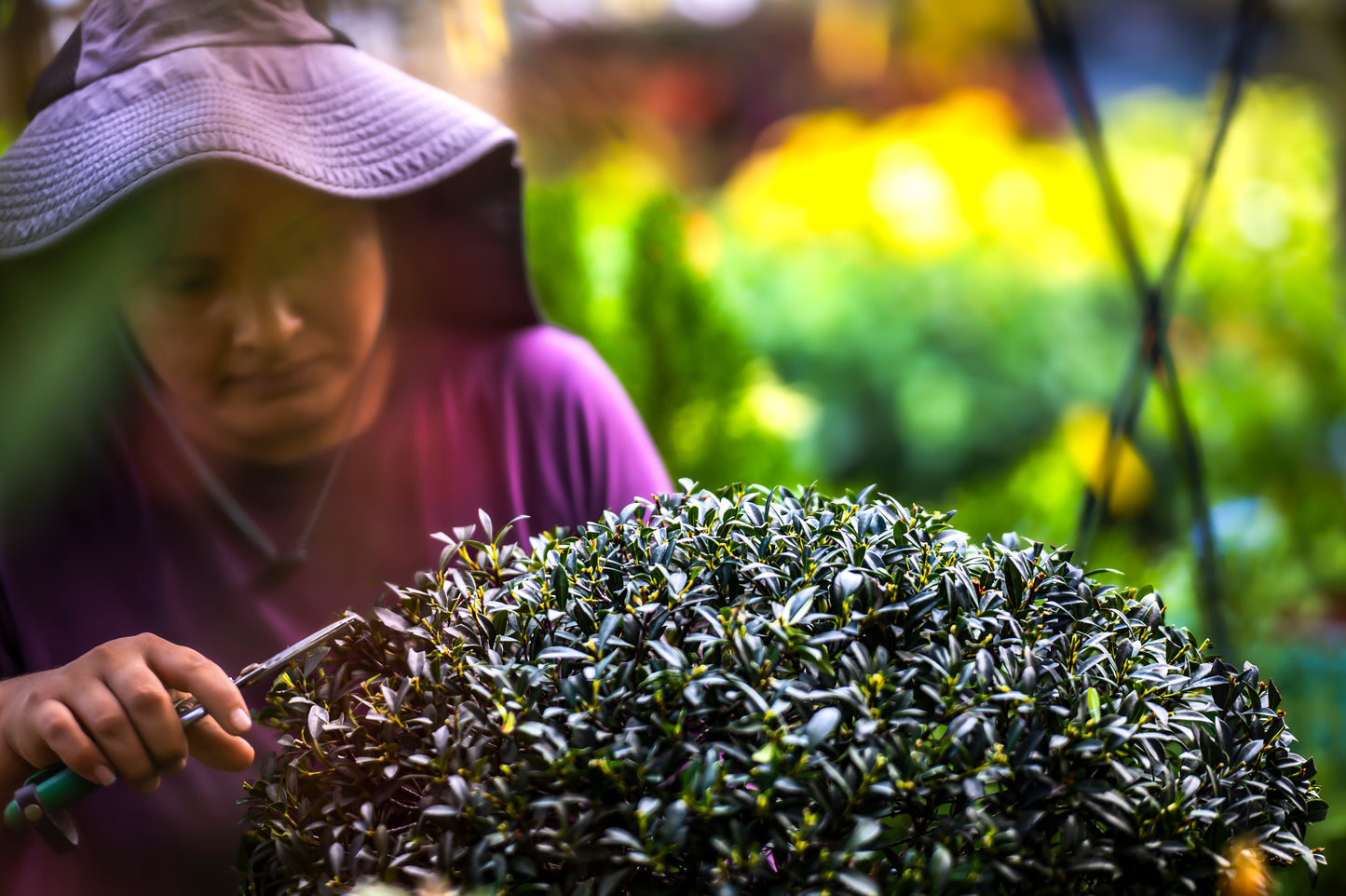 Love at Johnny Mangos