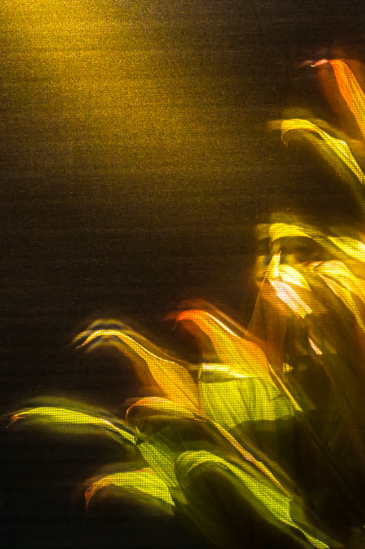 Supplicant