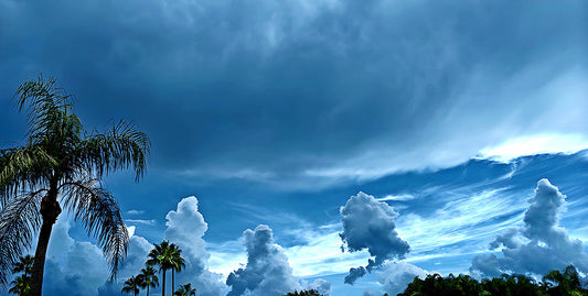 Tsunami Sky