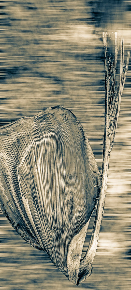 Vertigo Palm Vintage