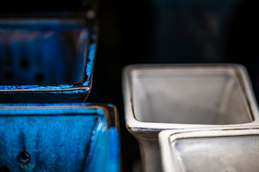 Waiting in the Shadows at Johnny Mangos