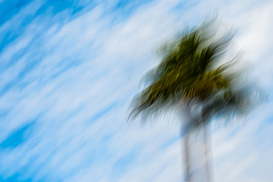 Worlds in Motion - Miami Skyline