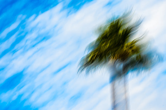 Worlds in Motion - Original Miami Skyline