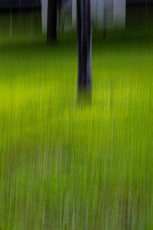 Worlds in Motion - Munch's Backyard